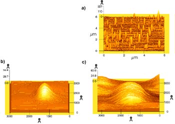 Messung der Größe und Größenverteilung von Liposomen mittels AFM.