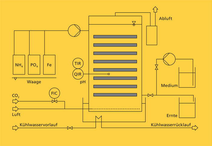 Fließschema eines 30-L-FPA-Reaktors der Freilandanlage.