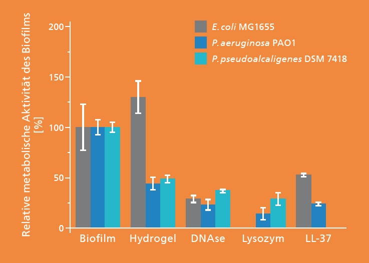 Reduzierung des Biofilms durch wirkstoffbeladenes Hydrogel.