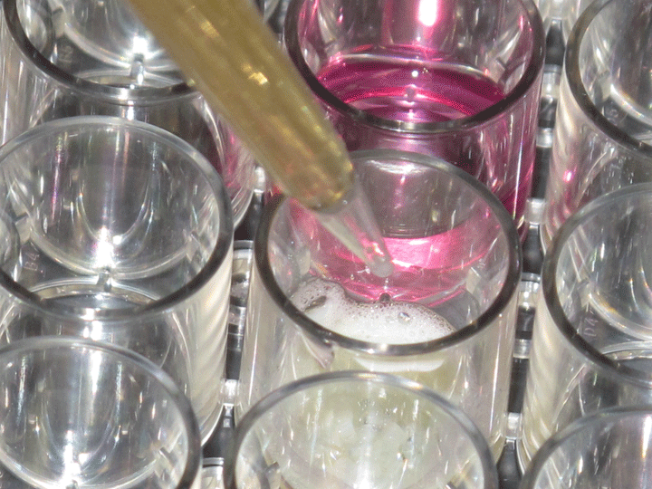 Screening zur Quantifizierung der antimikrobiellen Eigenschaften der BioCapabili-Formulierungen.