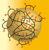 Anwendungsbeispiel »PEGylierung« von Goldpartikeln zur Verbesserung der Biokompatibilität.