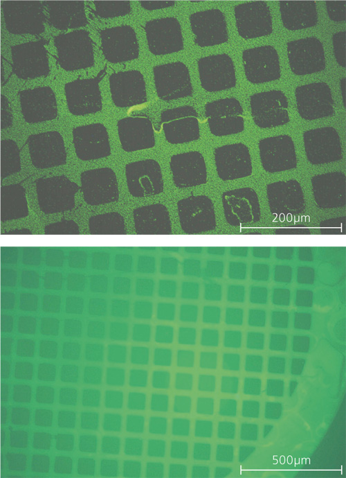 Fluoreszenzlichtmikroskopische Aufnahmen einer vorbehandelten Probe nach der Versprühung von Nanopartikeln.