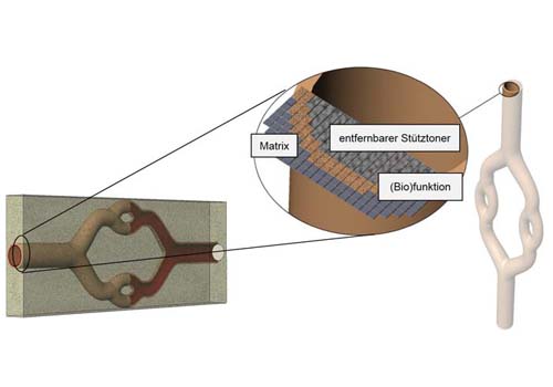 Tubuläre Strukturen werden erzeugt, indem die aus nicht fixierten Partikeln bestehende Stützstruktur nach dem Druck entfernt wird. Die Matrixstruktur verleiht dem 3D-Objekt auch danach Stabilität.