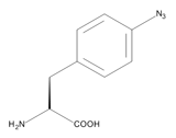 Die artifizielle Aminosäure p-Azidophenylalanin.