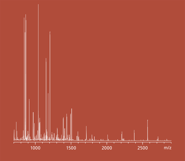 Identifizierung interagierender Proteine per Massenspektrometrie.