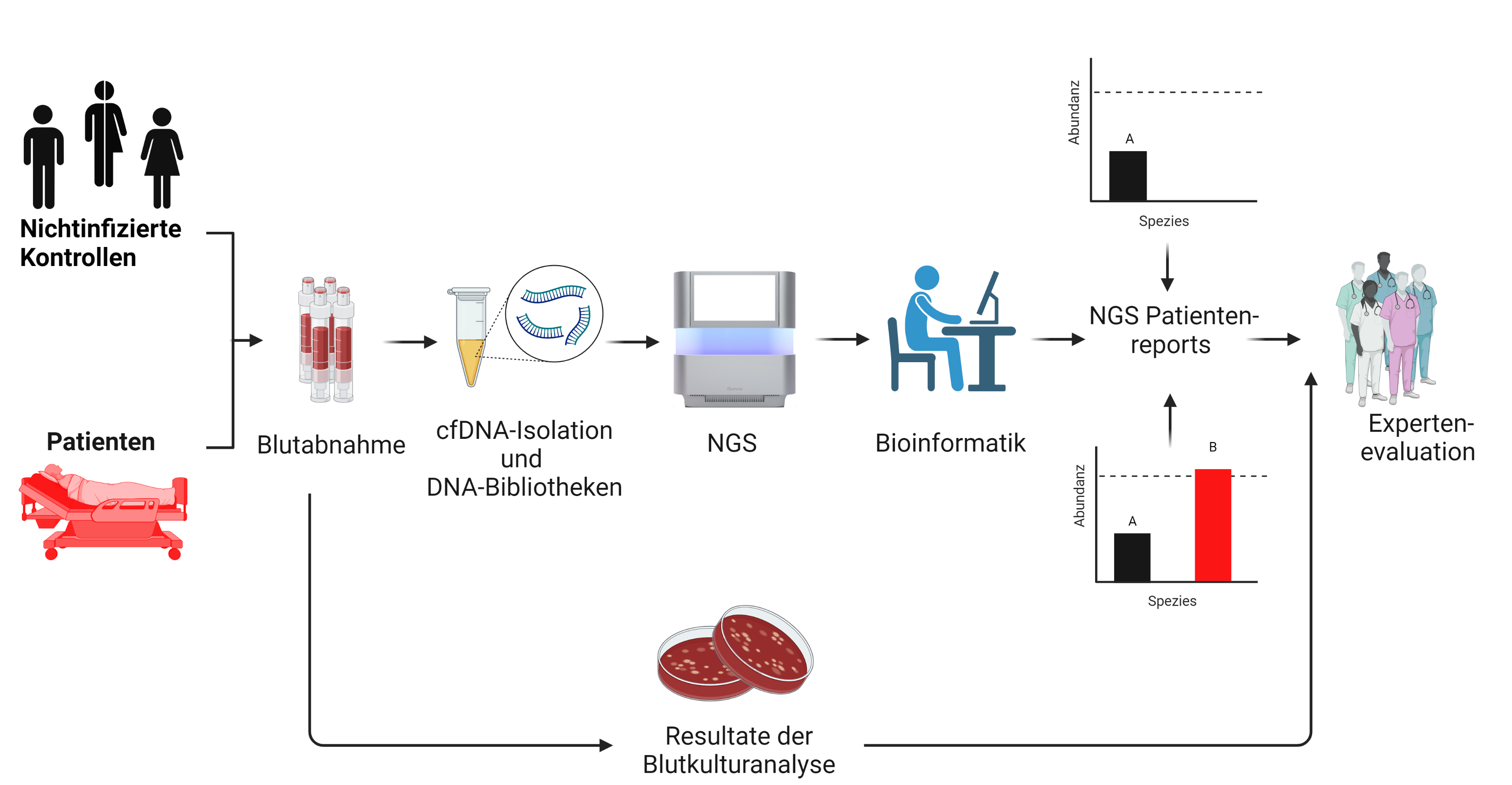 Überblick über die NGS-getriebene Sequenzierung von cfDNA zur Sepsis-Diagnostik