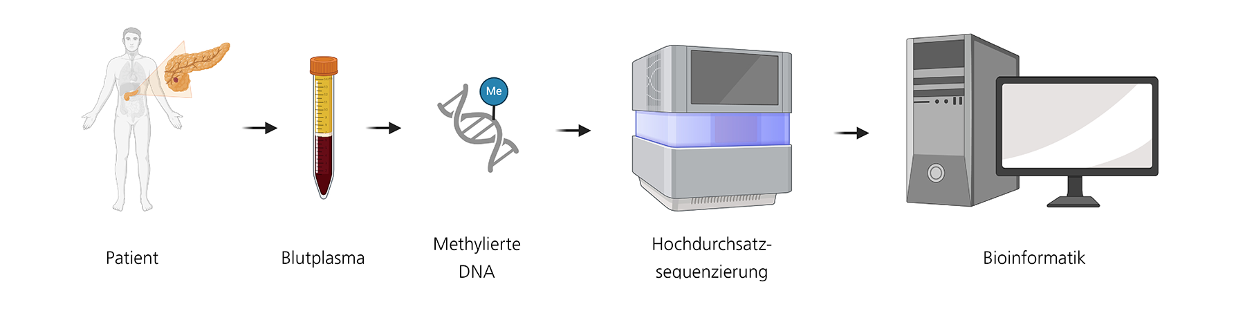Verfahren zur differenziellen DNA-Methylierungsanalytik