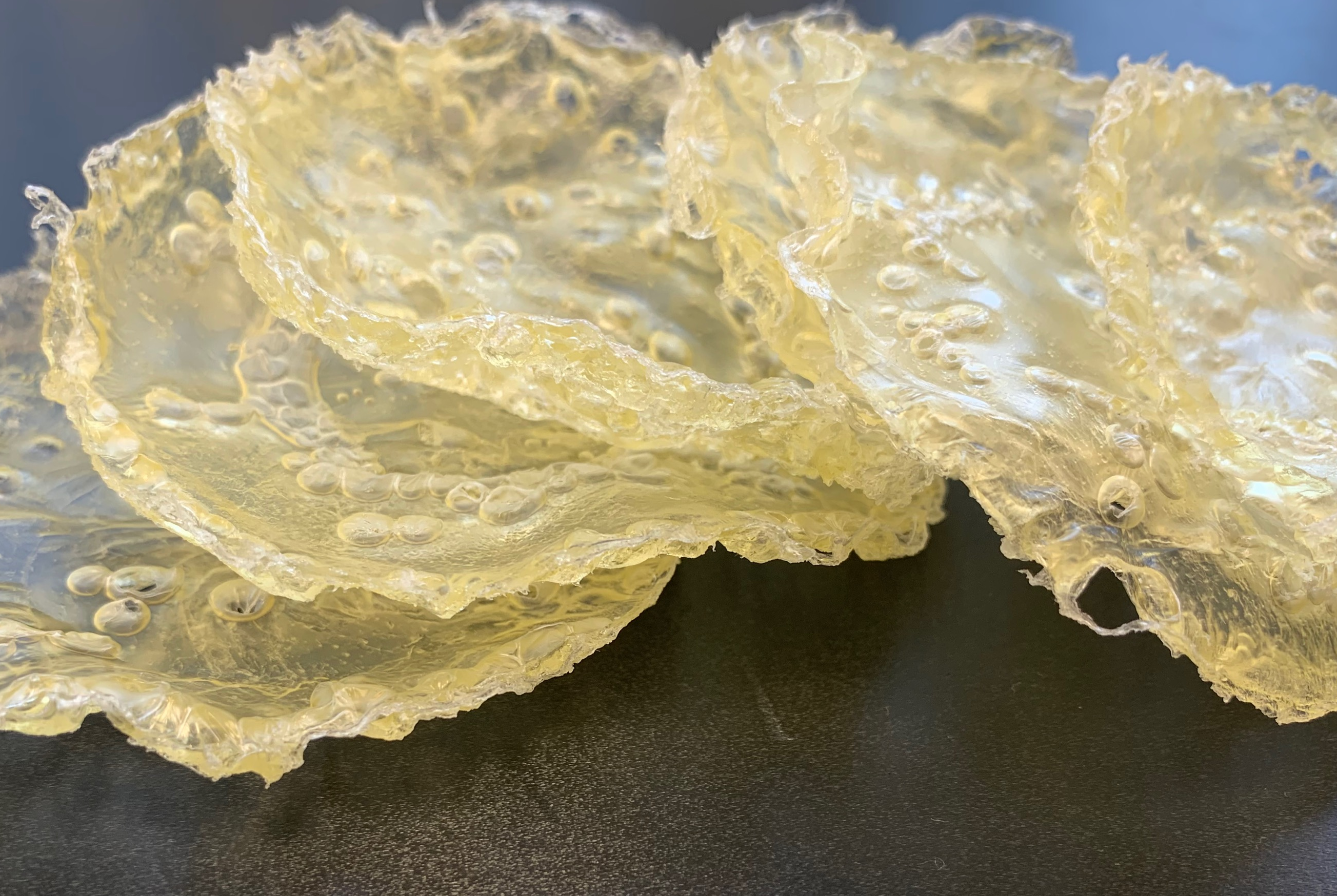 Mikrobiell hergestelltes Polyhydroxyalkanoat – bioabbaubares und biokompatibles Biopolymer zur Herstellung von Biokunststoffen.