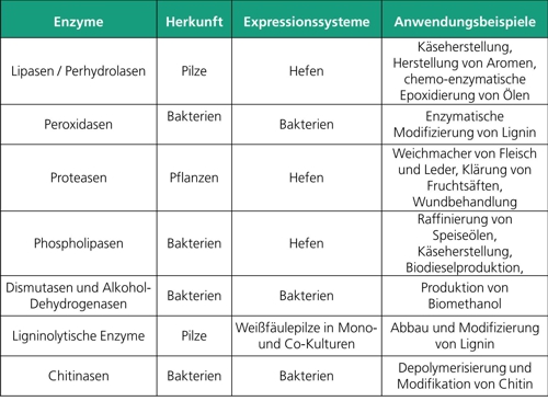 Bereits am Institut hergestellte Enzyme und deren mögliche Anwendungsgebiete.