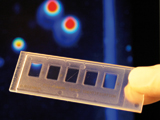 DNA-Microarray für die Routinediagnostik.