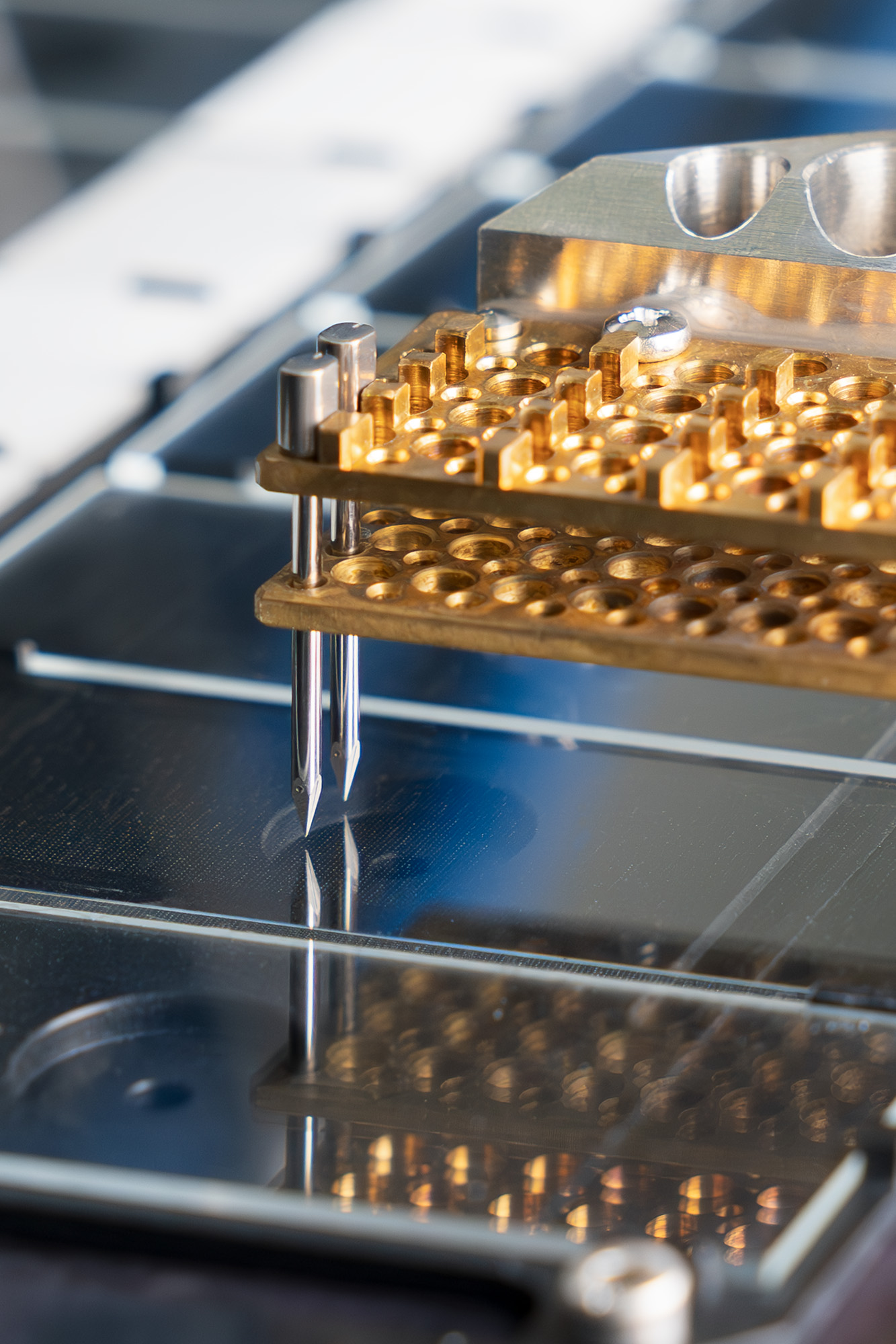 Microarray-Technologie