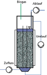 Schemazeichnung des Festbettumlaufreaktors.