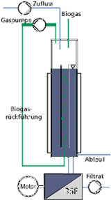 Schemazeichnung des Membranfilterreaktors mit Rotationsscheibenfilter (RSF).