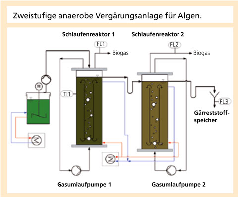 Zweistufige anaerobe Vergärungsanlage für Algen.