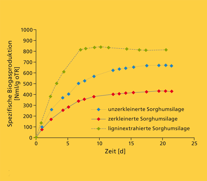 Spezifische Biogasproduktion von Sorghumsilage  (800–850 vs. 430–680 NmL/g oTR).