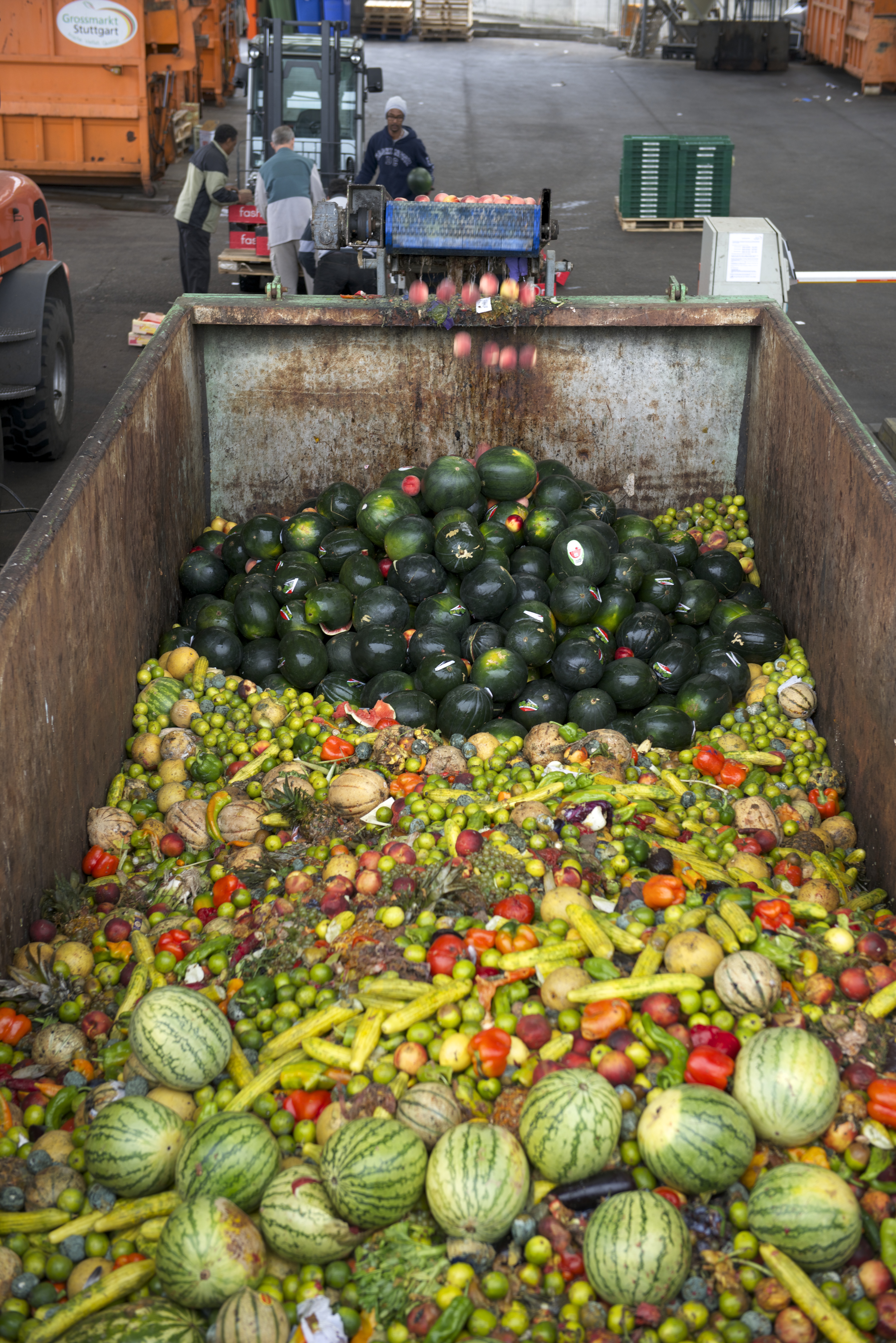 Obst- und Gemüseabfälle vom Großmarkt Stuttgart.