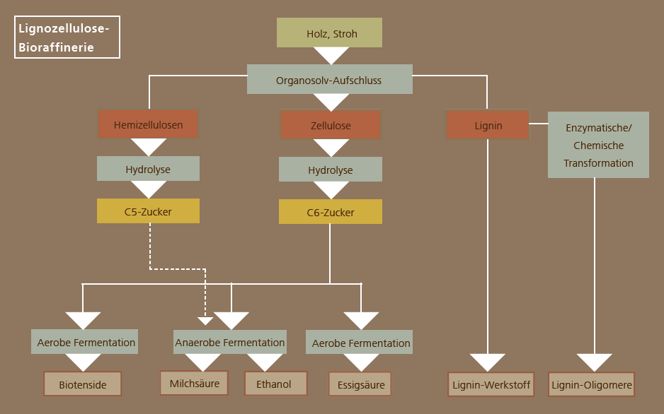 Lignocellulose-Bioraffinerie