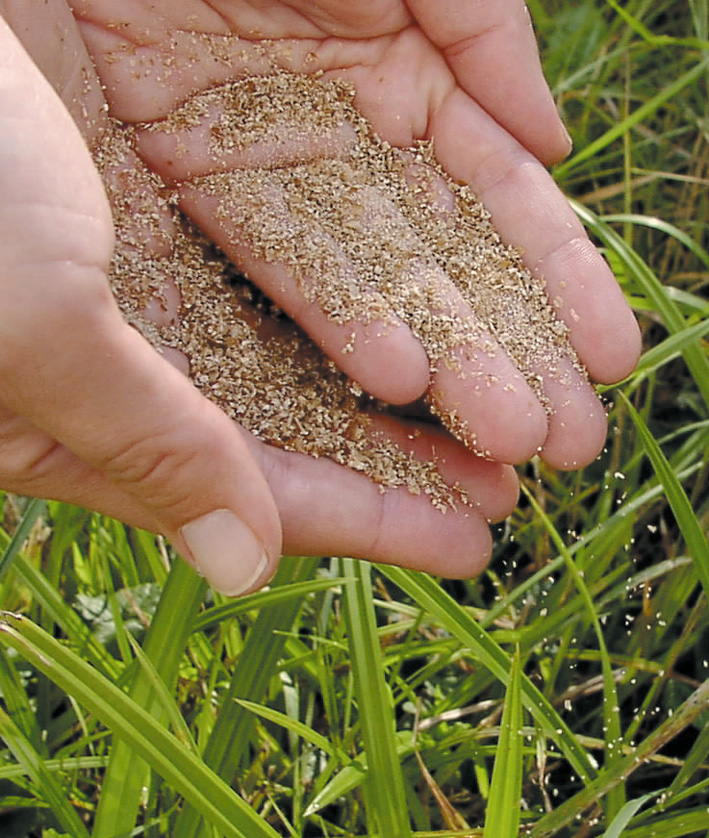 Bioadsorber