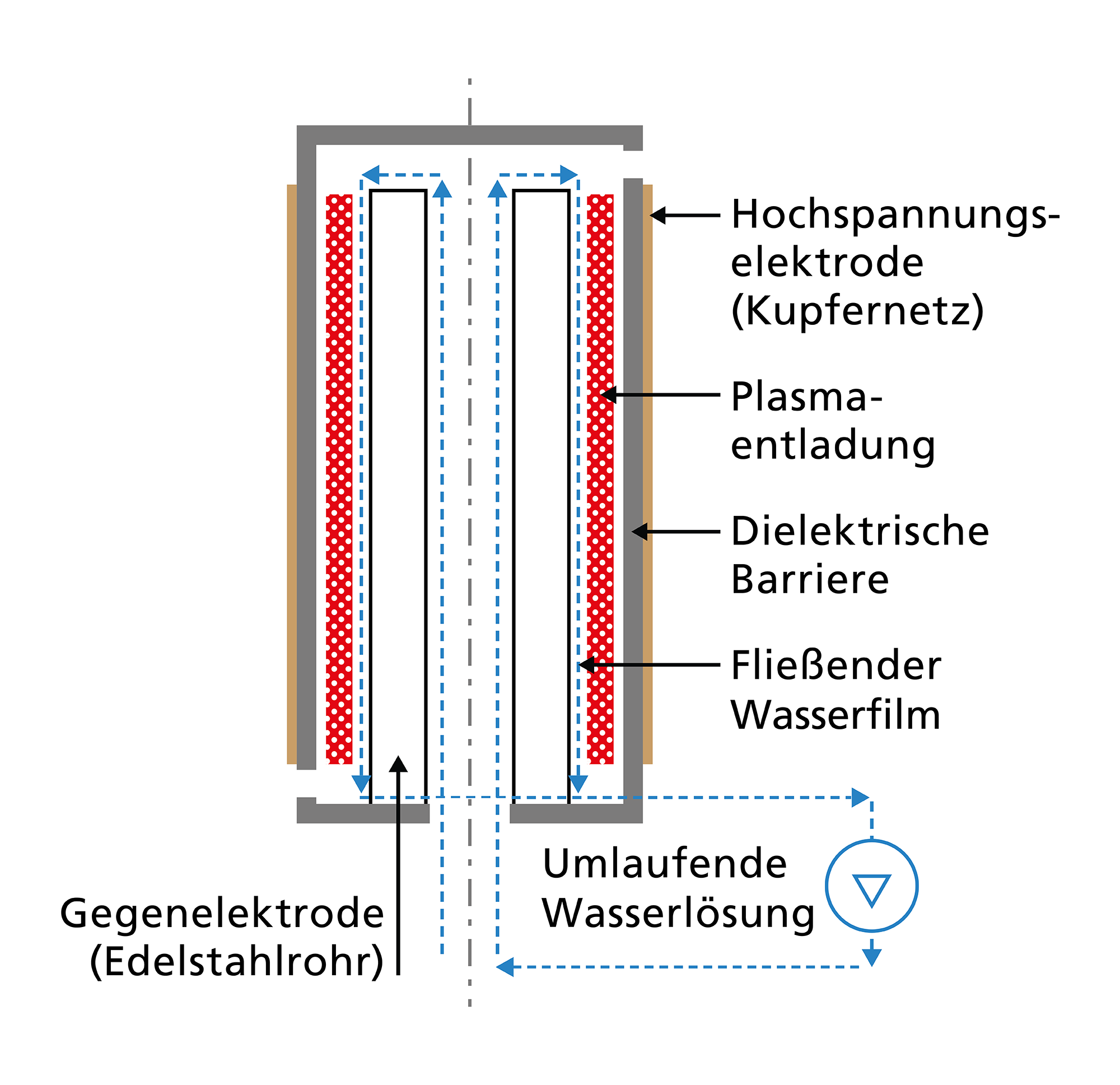 Plasmareaktor: Durch Anlegen von Spannung an der Kupferelektrode entsteht ein Plasma. Kontaminiertes Wasser wird nach oben gepumpt und fließt in einem Spalt durch die Zone mit der Plasmaentladung wieder nach unten. Dabei werden die PFAS angegriffen.