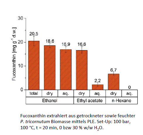 Fucoxanthin-Ausbeute nach Extraktion aus Biomasse von P. tricornutum mittels PLE mit verschiedenen Lösemitteln.