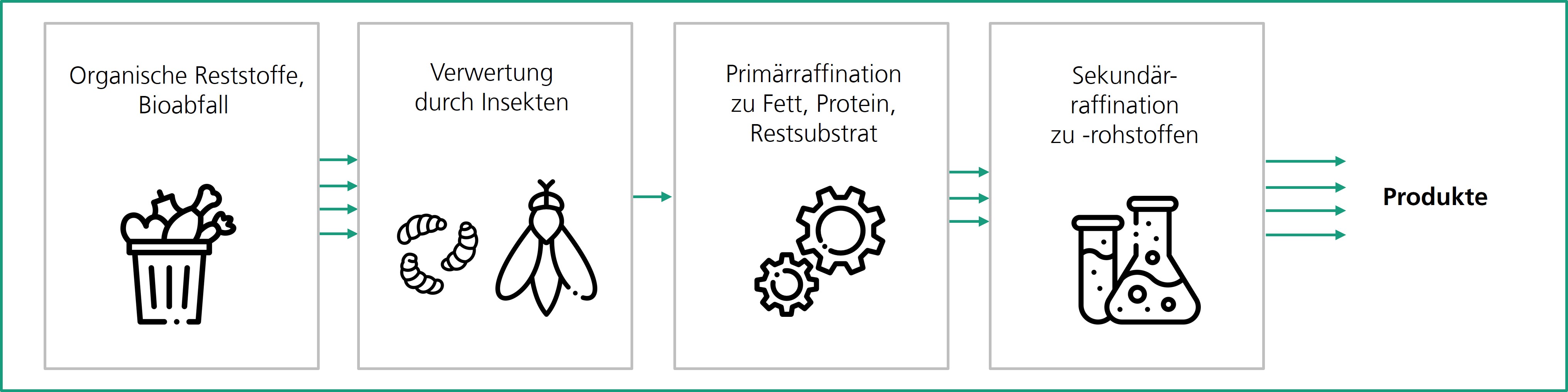 InBiRa, eine neue Insekten-Bioraffinerie, setzt organische Reststoffe und Bioabfälle als wertvolle Rohstoffe ein und wandelt sie in technisch nutzbare höherwertige Produkte um.