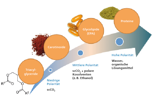 Schematische Darstellung der Polarität verschiedener Mikroalgeninhaltsstoffe und entsprechender Lösungsmittel. 