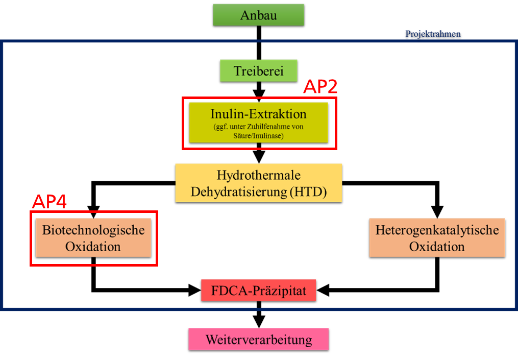 Struktur und Arbeitsinhalte des Verbundvorhabens KEFIP, das Fraunhofer IGB arbeitet am WP2 und WP4.