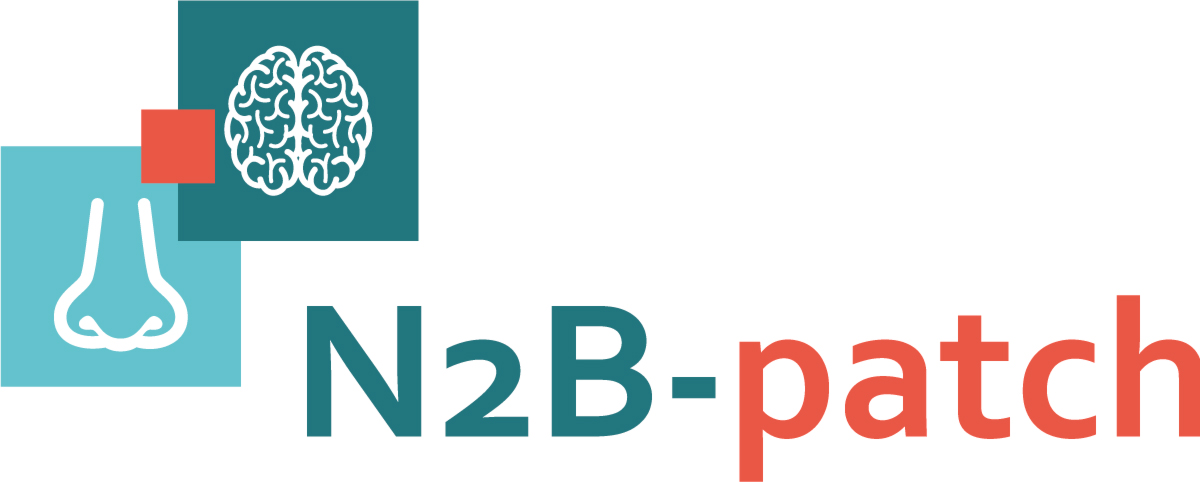N2B-patch.