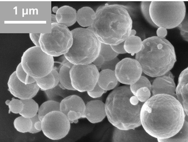 Rasterelektronenmikroskopische (REM) Aufnahme von sprühgetrockneten Chitosan-Partikeln, Vergrößerung 25 000 X