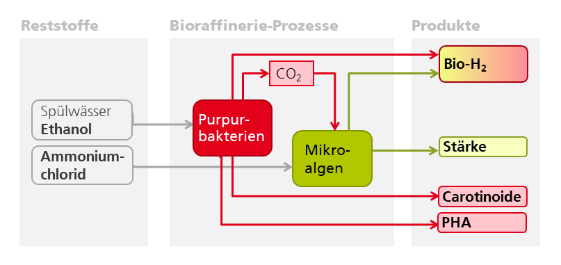 Prozessschema im Projekt SmartBioH2-BW