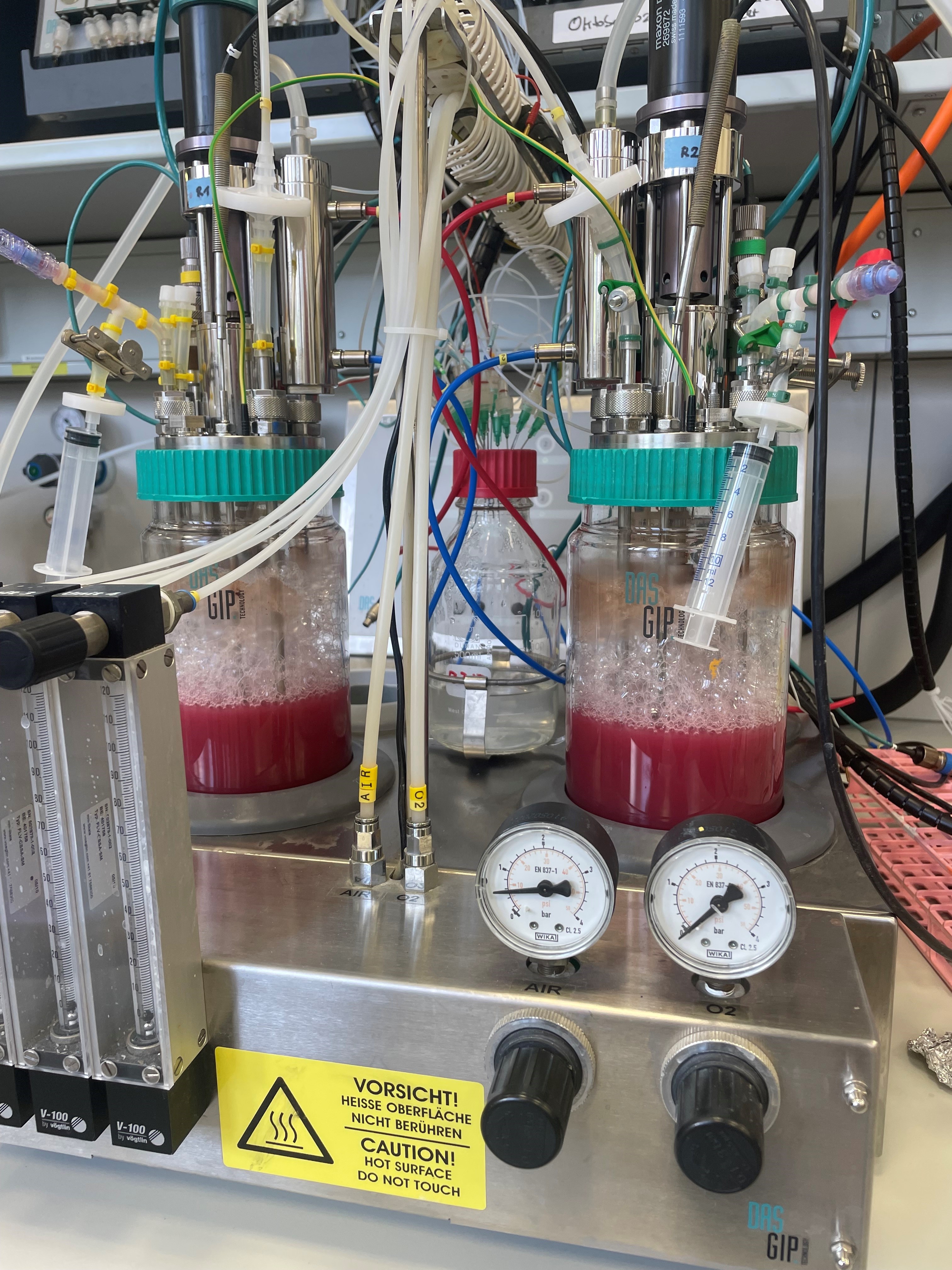 Versuchsanordnung mit <i>Rhodospirillum rubrum</i> in 1-Liter-Bioreaktoren