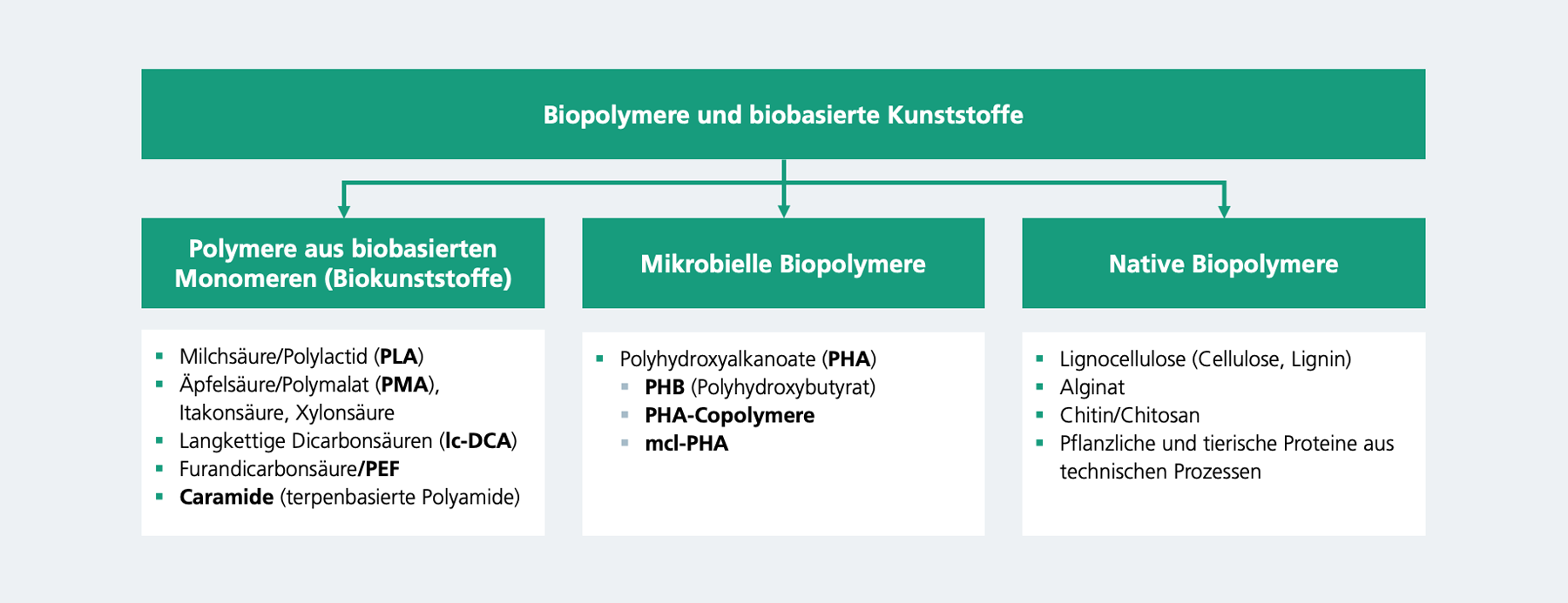 Biopolymere und biobasierte Kunststoffe