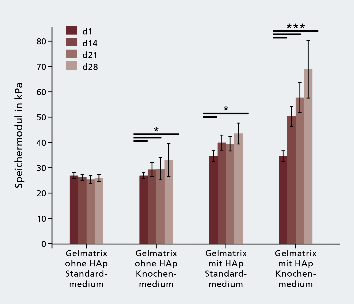 Der Zusatz von Hydroxylapatit (HAp) zu Knochentinte steigert die Remodellierung der Matrix während der Kultivierung von osteogen differenzierten mesenchymalen Stammzellen.