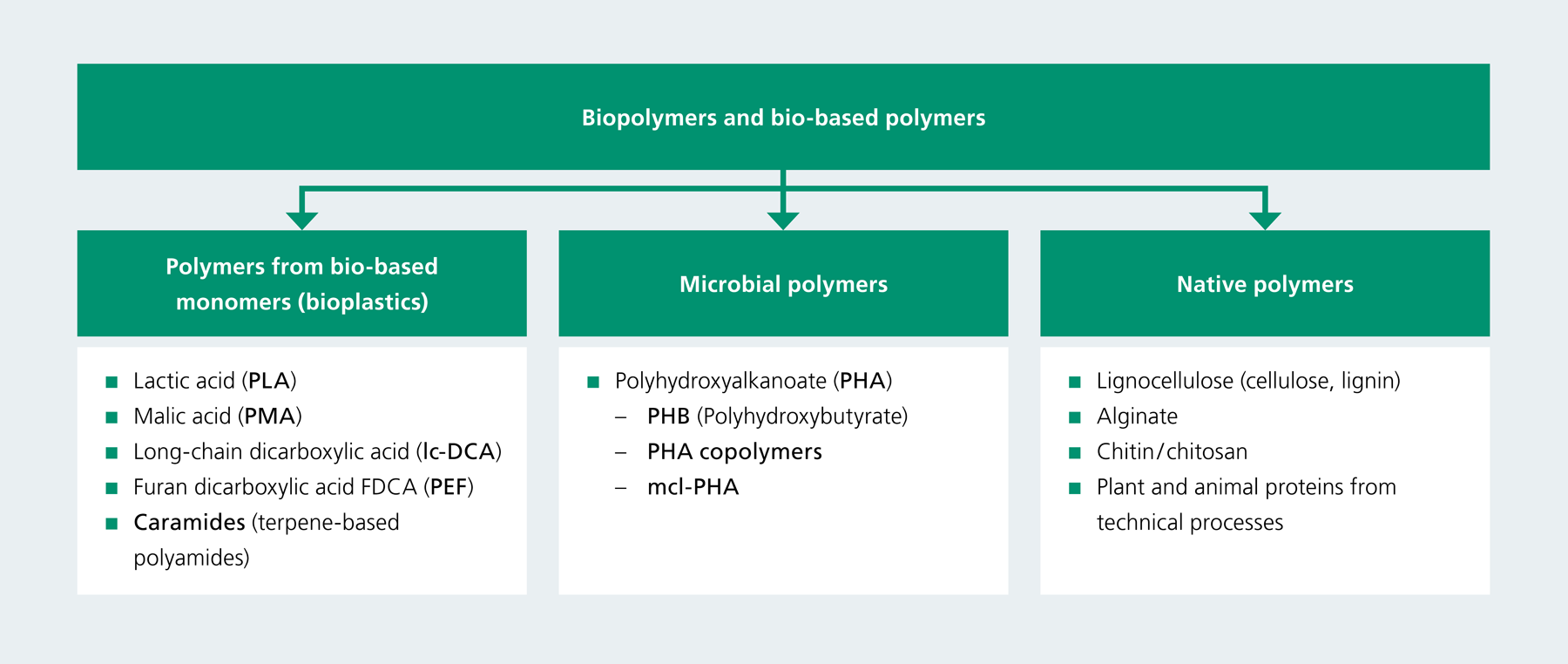 Biopolymers and bio-based polymers