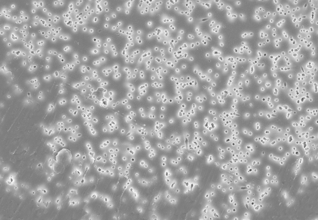 Scanning electron microscopy image of titanium dioxide nanoparticles in wastewater.