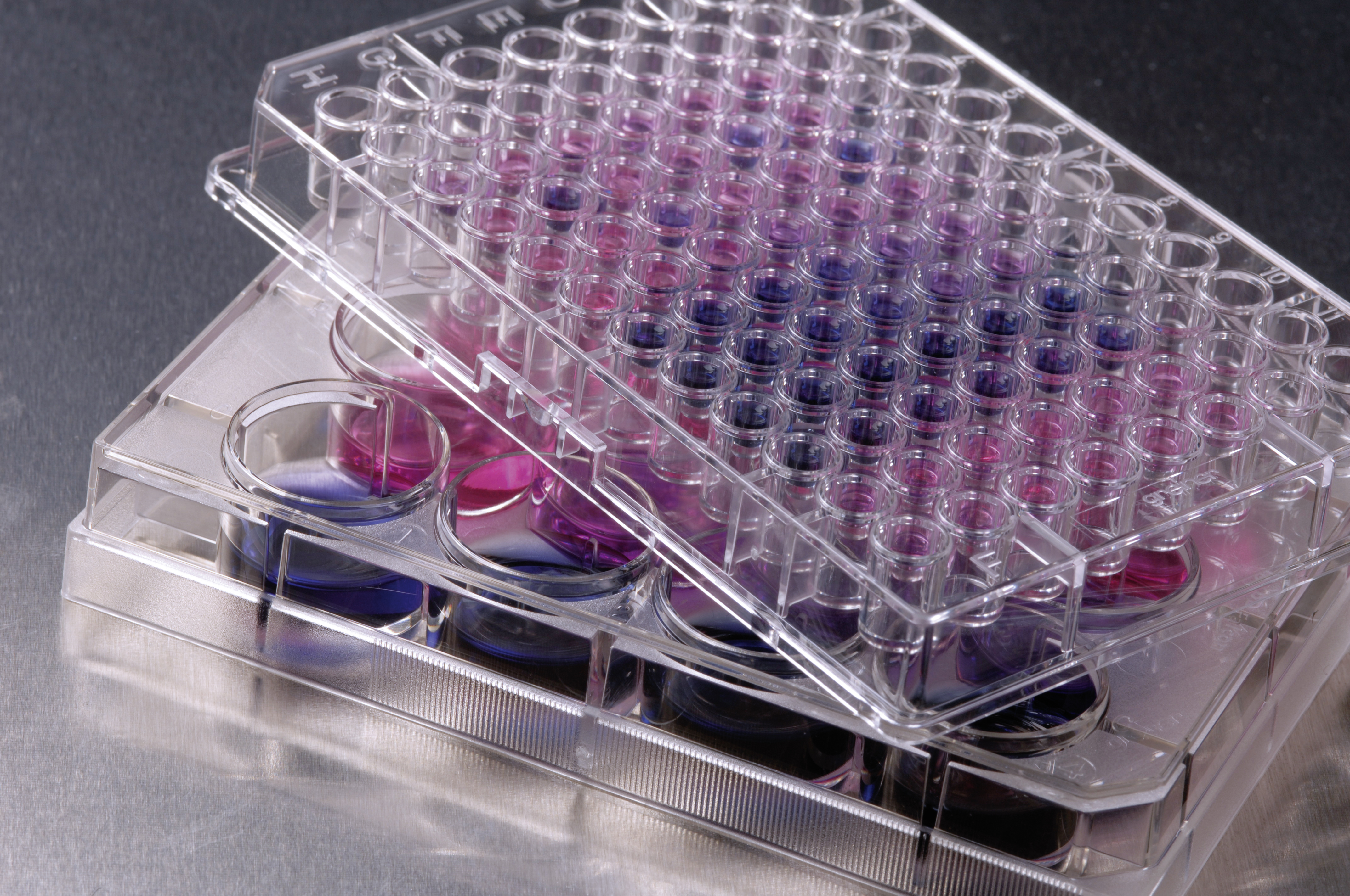 Cell-based assay for pyrogen detection.