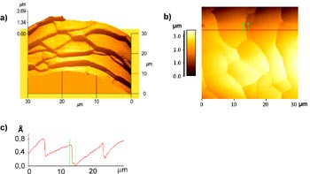 Topography of a human hair. Topography of a human hair.