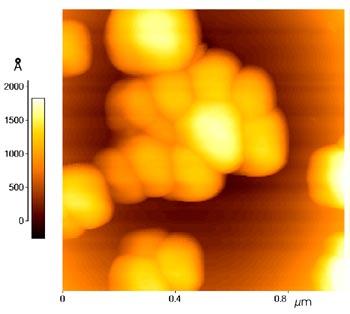 Polymere Latices.