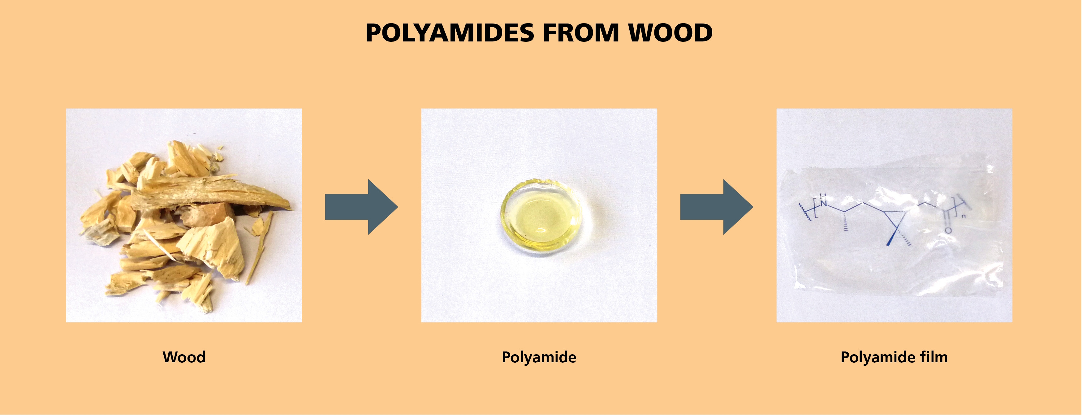 From wood waste to high-performance polymers