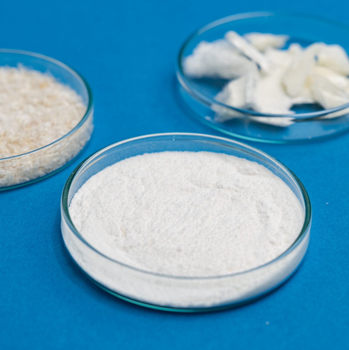 white powder in a dish