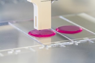  Printing cell suspensions onto hydrogel pads