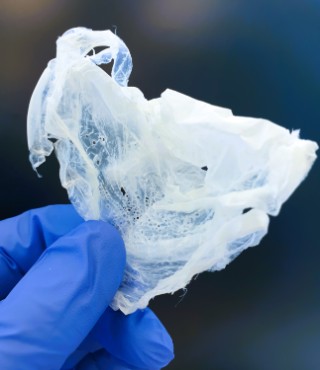 Polyhydroxyalkanoate (PHA) plastic produced from organic acids