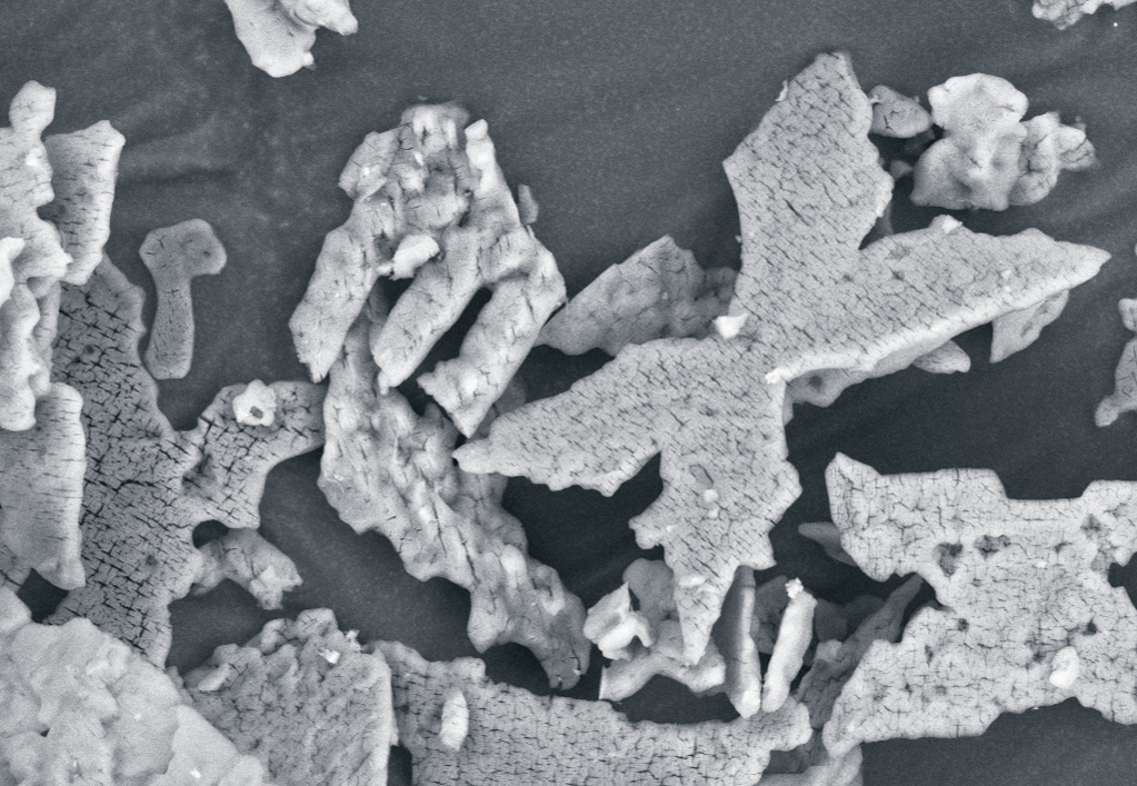 Precipitated struvite crystals, REM image.