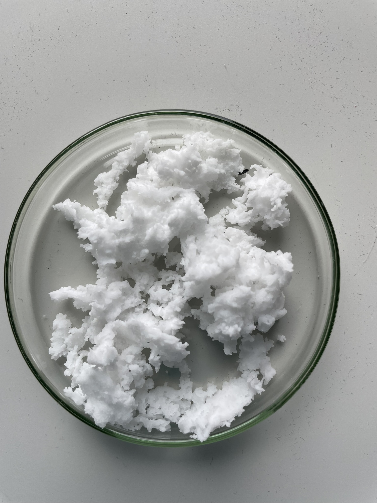 The bioplastic PHBV, a polyhydroxyalkanoate (PHA) with a high valerate content