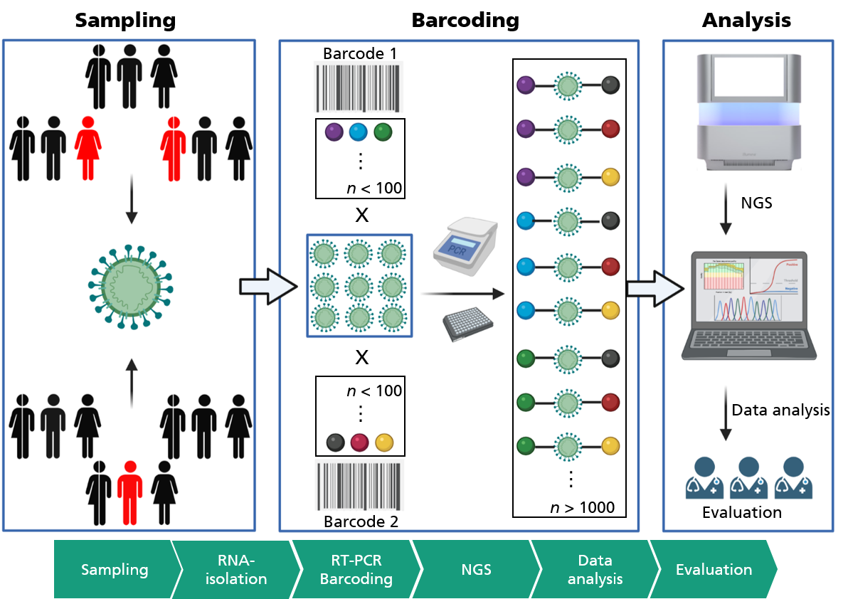 Procedure of CoV-2-KomET, starting with sample collection to molecular barcoding in RT-PCR, analysis and evaluation of results. Created with Biorender.