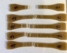 Fracture pattern of cellulose fiber-reinforced PLA test rods