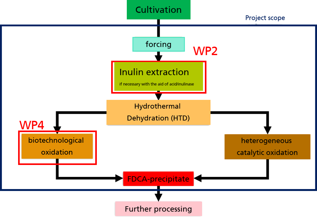 Structure and work content of the KEFIP joint project, Fraunhofer IGB is working on WP2 and WP4.