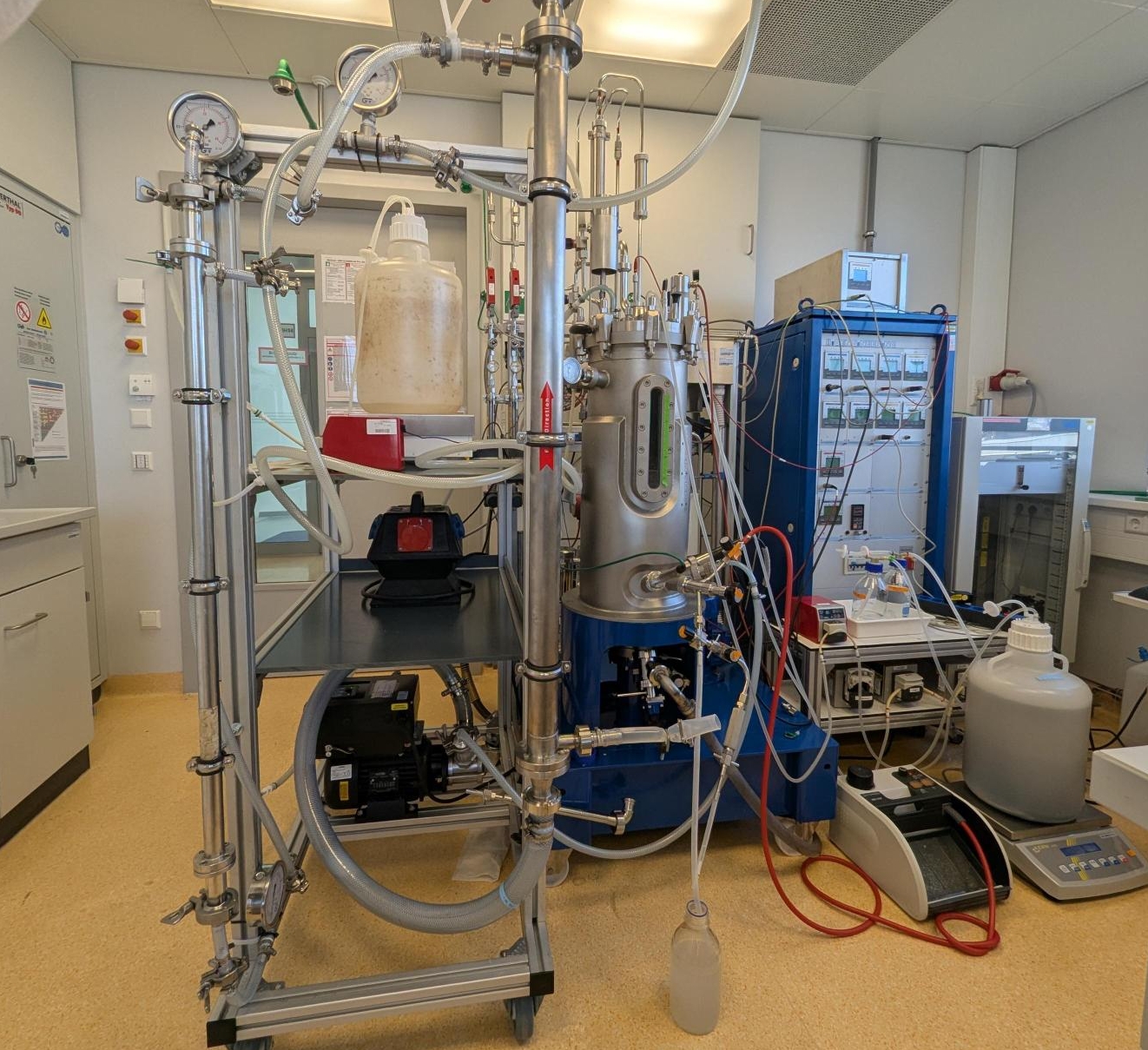 Biotechnological production of PHA from organic acids using the perfusion process
