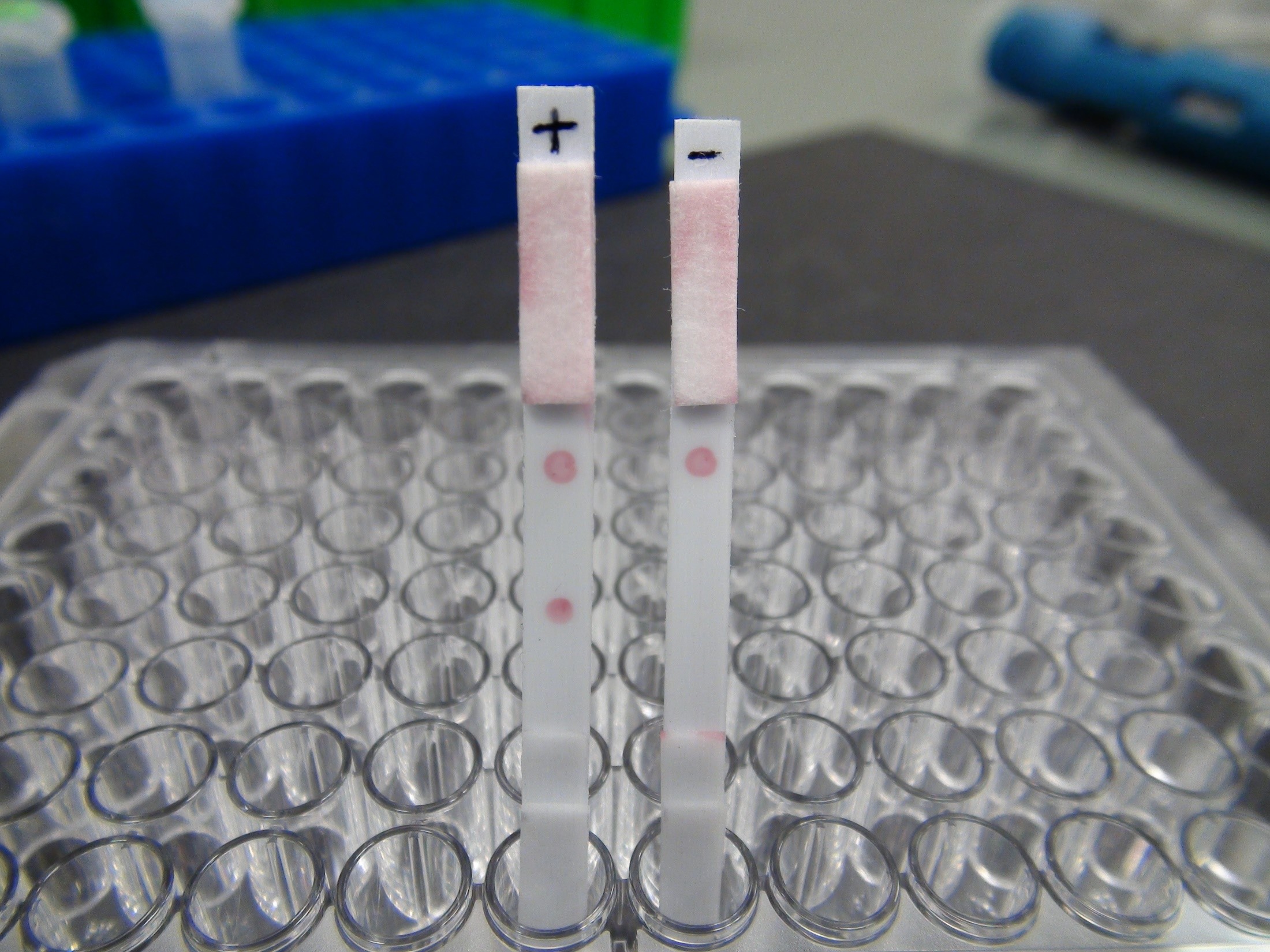 Lateral Flow – DNA probes as biosensors on test strips.