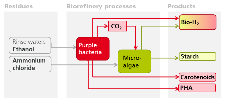 In the SmartBioH2-BW project, two interlinked biotechnological processes (purple bacteria and microalgae) are used to produce biohydrogen and other products such as carotenoids and biopolymers (PHA) from industrial wastewater and residual material streams.